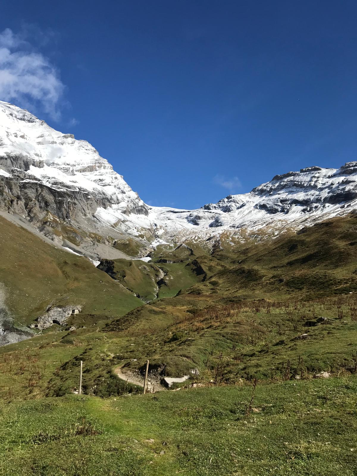 alpenpanorama 2